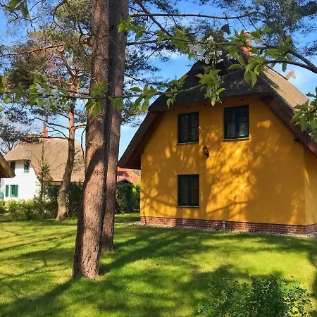 Reetdach Ferienhaus غلوفي