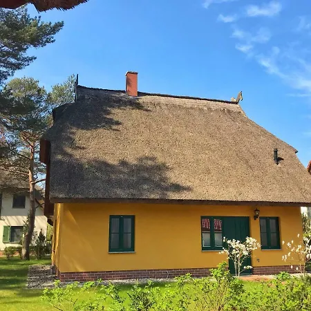 Reetdach Ferienhaus * غلوفي